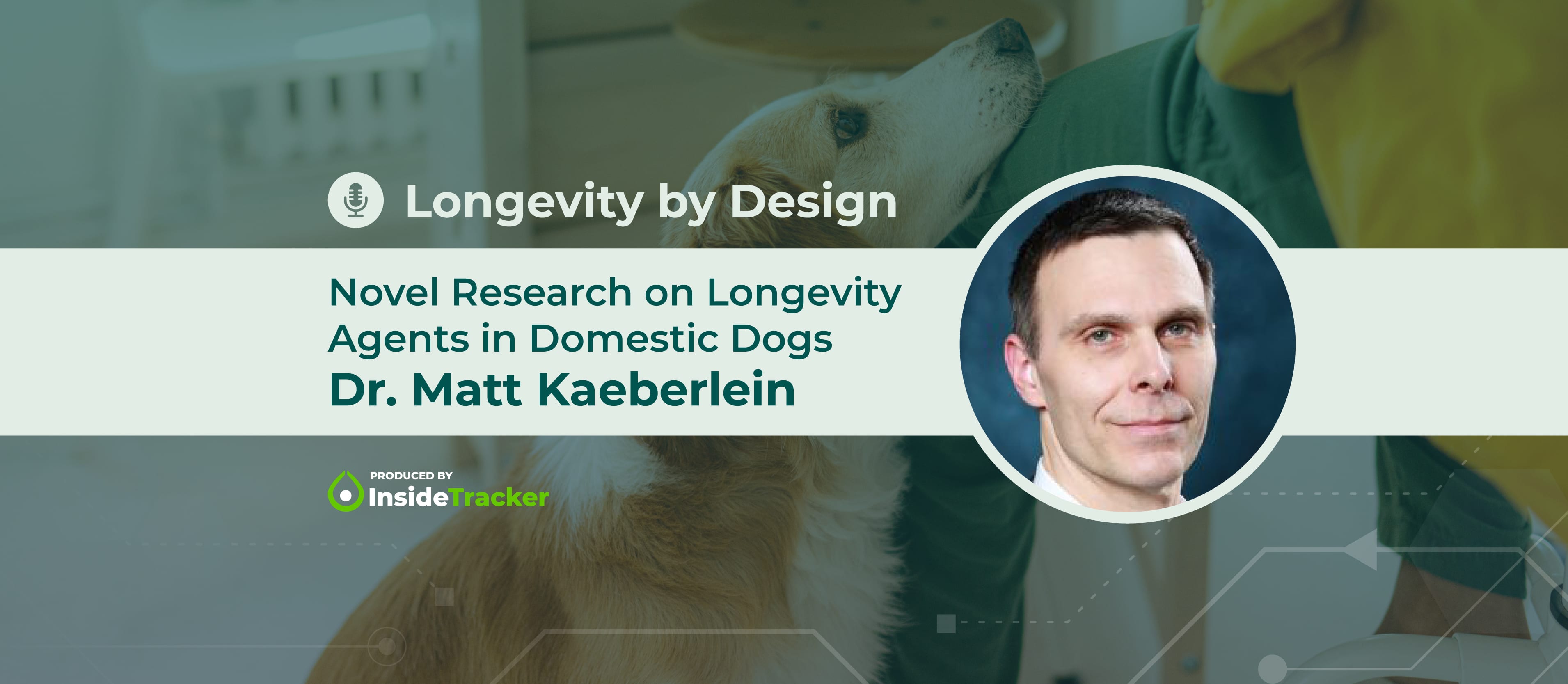 Dr Matt Kaeberlein Novel Research On Longevity Agents In Domestic Dogs